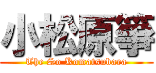 小松原箏 (The So Komatsubara)