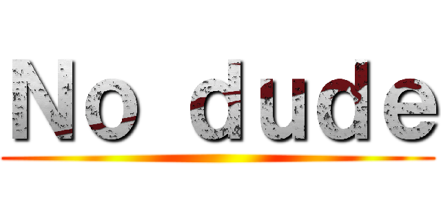 Ｎｏ ｄｕｄｅ ()