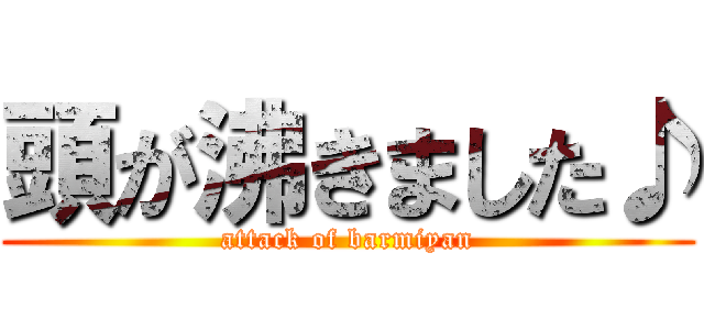 頭が沸きました♪ (attack of barmiyan)