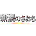 新潟のさおち ()