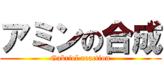 アミンの合成 (Gabriel reaction)