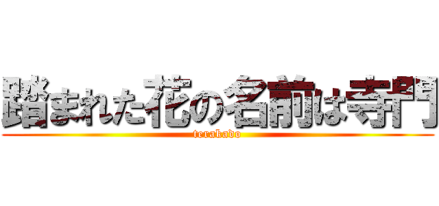 踏まれた花の名前は寺門 (terakado)