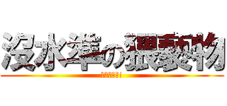 沒水準の猥褻物 (你沒有本噢!)