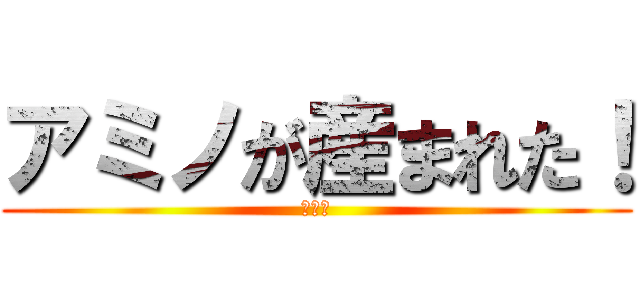アミノが産まれた！ (アッー)