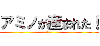 アミノが産まれた！ (アッー)