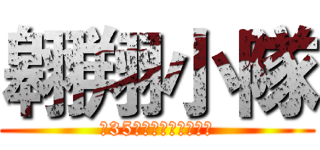 翱翔小隊 (第35屆隊長隊幹部訓練營)