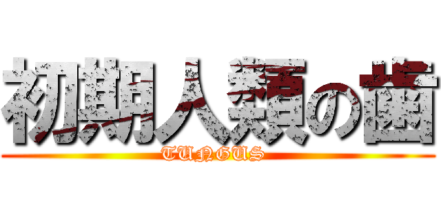 初期人類の歯 (TUNGUS )