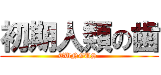 初期人類の歯 (TUNGUS )