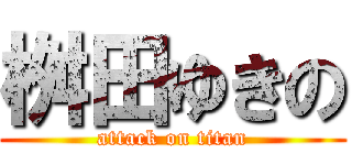 桝田ゆきの (attack on titan)