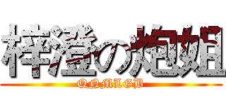 梓澄の炮姐 (QNMLGB)