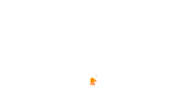  (reflect_test_327843467)