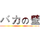 バ カ の 壁 ()