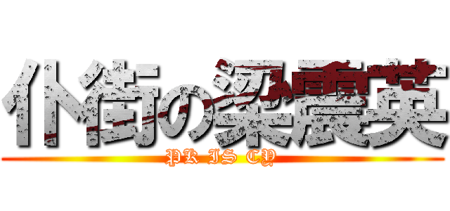 仆街の梁震英 (PK IS CY)