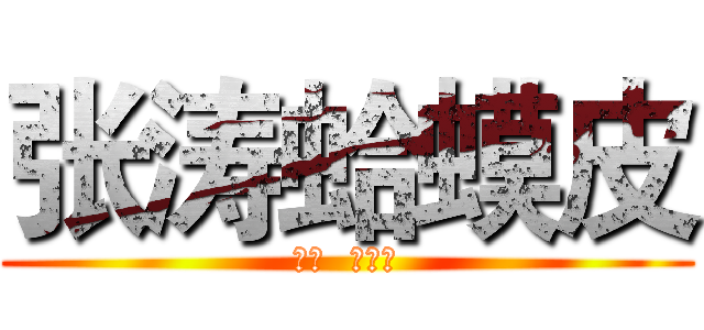 张涛蛤蟆皮 (张涛  蛤蟆皮)