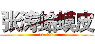 张涛蛤蟆皮 (张涛  蛤蟆皮)