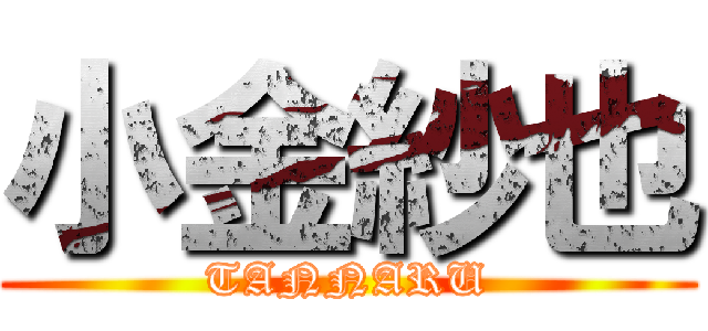 小金紗也 (TANNARU)