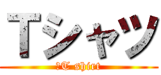 Ｔシャツ (　T shirt)