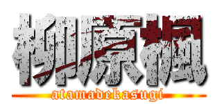 柳原楓 (atamadekasugi)
