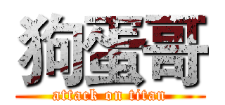 狗蛋哥 (attack on titan)