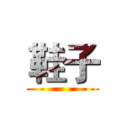 鞋子 ()