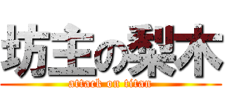 坊主の梨木 (attack on titan)