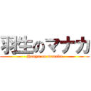 羽生のマナカ (Hanyu on manaka)