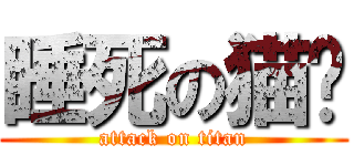 睡死の猫ㄨ (attack on titan)