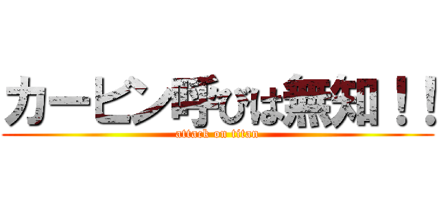 カービン呼びは無知！！ (attack on titan)