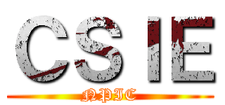 ＣＳＩＥ (NPIC)