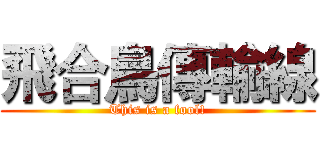 飛合鳥傳輸線 (This is a fool!)