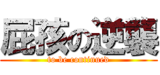 屁孩の逆襲 (to be continued)