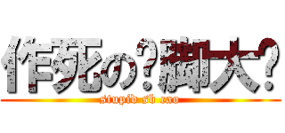 作死の抠脚大汉 (stupid sb cao)
