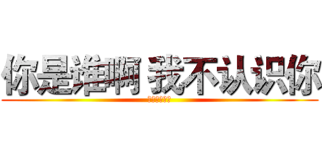 你是谁啊 我不认识你 (不要这样字嘛)