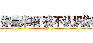 你是谁啊 我不认识你 (不要这样字嘛)