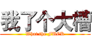 我了个大槽 (What the FUCK)