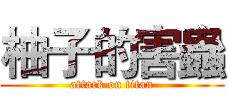 柚子的害蟲 (attack on titan)