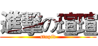 進擊の瑄瑄 (stupid)