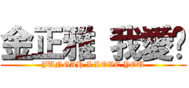 金正雅 我愛你 (JUNGAH I LOVE YOU)