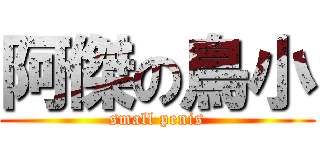 阿傑の鳥小 (small penis)