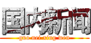 国内新闻 (guo nei xing wen)