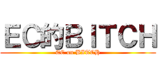 ＥＣ的ＢＩＴＣＨ (EC on BITCH)