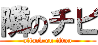 隣のチビ (attack on titan)