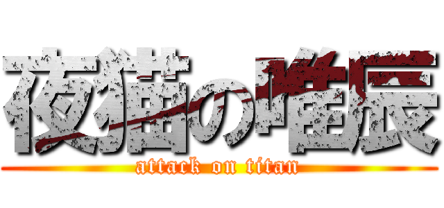 夜猫の唯辰 (attack on titan)