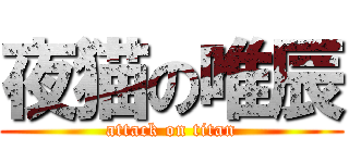 夜猫の唯辰 (attack on titan)