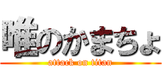 唯のかまちょ (attack on titan)