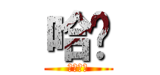 哈囉 (哈囉哈囉)
