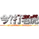 今晚打老虎 (Fight Tiger Tonight)