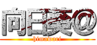 向日葵＠ (himawari)