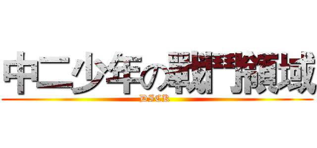 中二少年の戰鬥領域 (DICK )