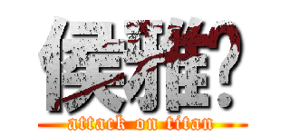 侯雅婷 (attack on titan)